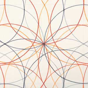 circles detail - color pencil drawing