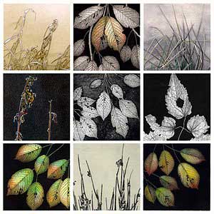 nine intaglio prints - details and fragments