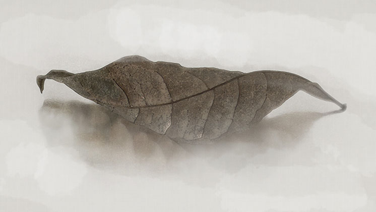 painting titled Bronzeleaf - gouache, watercolor, ink and pencil on paper