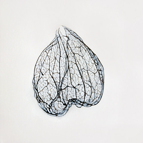painting titled Chinese Lantern - gouache, ink and pencil on paper