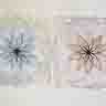 click to open gallery - Petals Study