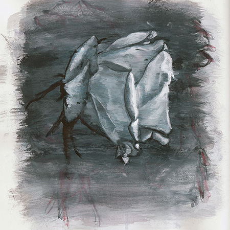 painting titled White Rose - gouache and ink on paper