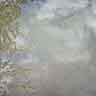 click to open gallery - garden and pond, to clouds 10am