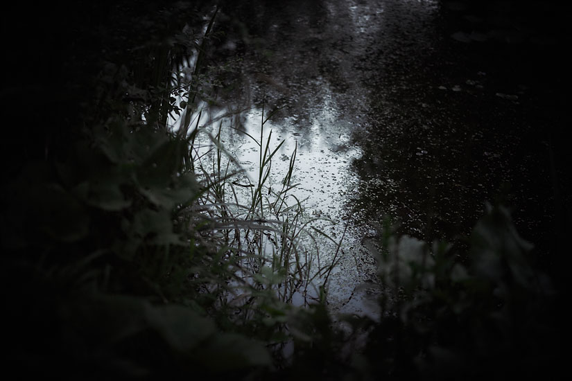 Garden and Pond Series - Light on Water, 3:00 am