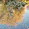 click to open gallery - garden and pond, to light in water