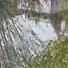 click to open gallery - garden and pond, to roofs 11am