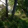 click to open gallery - A Narrow Path to Muddy Waters (2)