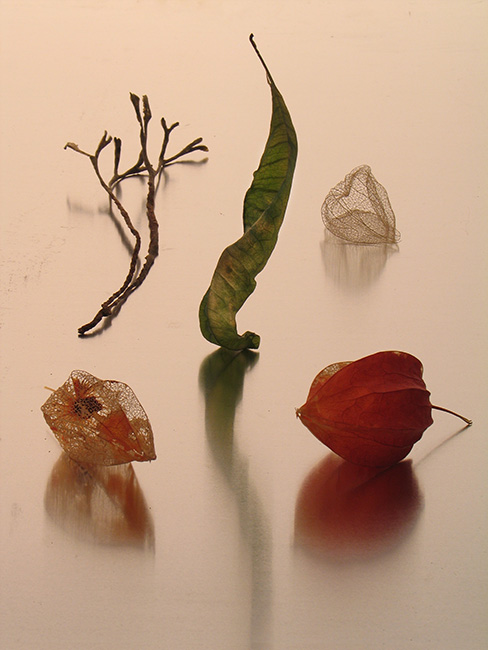Still-Life Pictures: the Rite (Evocation of the Ancestors)