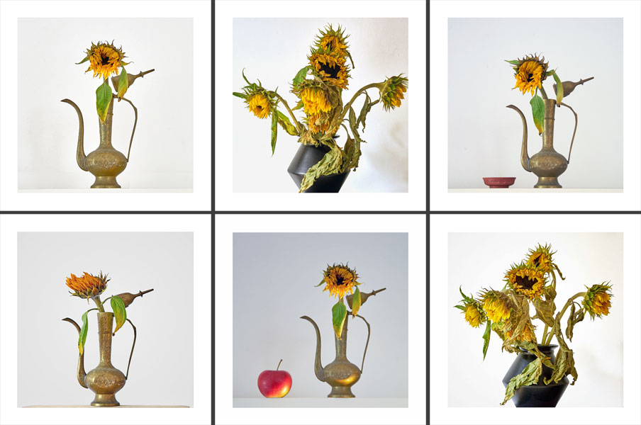 Still-Life Pictures: Sunflowers, Pitcher, Vase, Bowl, Apple