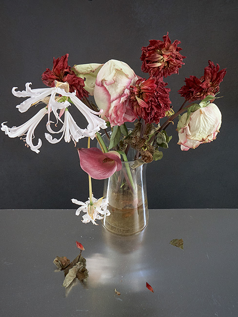 Still-Life Pictures: Le Vase Retrouvé (2)