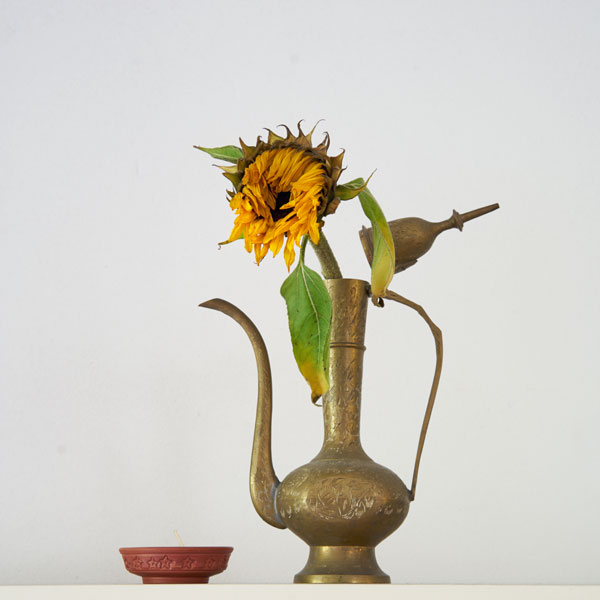 still-life pictures: table 13, with pitcher, bowl and sunflower