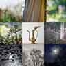 click to open gallery - still-life2: table 4