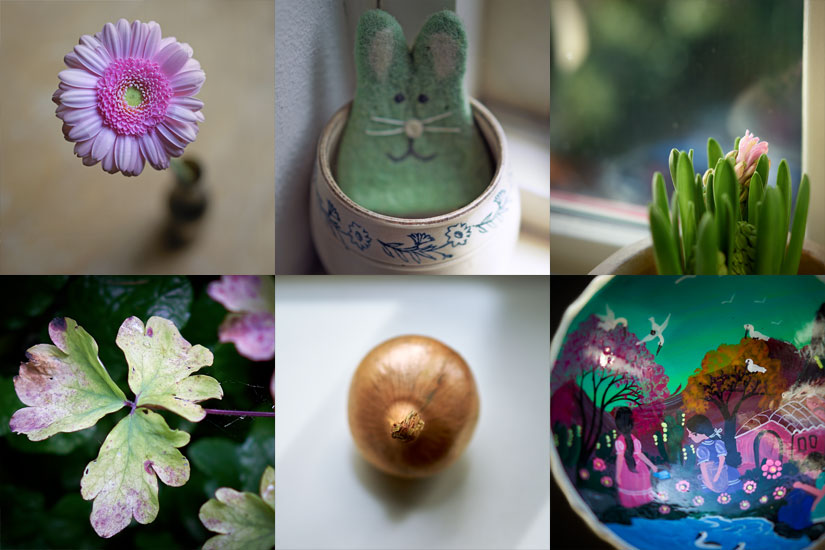 still-life pictures: table 7, with easter bunny and plants