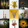 click to open gallery - still-life2: table 8