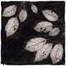 click to open gallery: to Prunus Leaves (1)