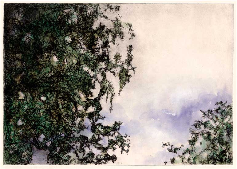engraving of trees (2), drypoint, watercolor