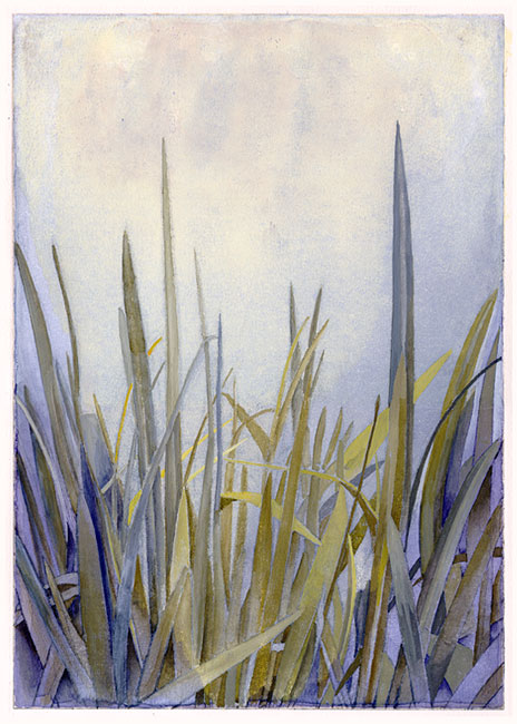 engraving of waterflag (1), drypoint, iris print, watercolor