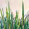 click to open gallery: to Waterflag (2)