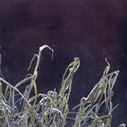 grasses