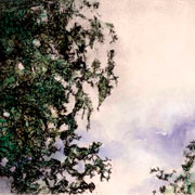 trees color etching