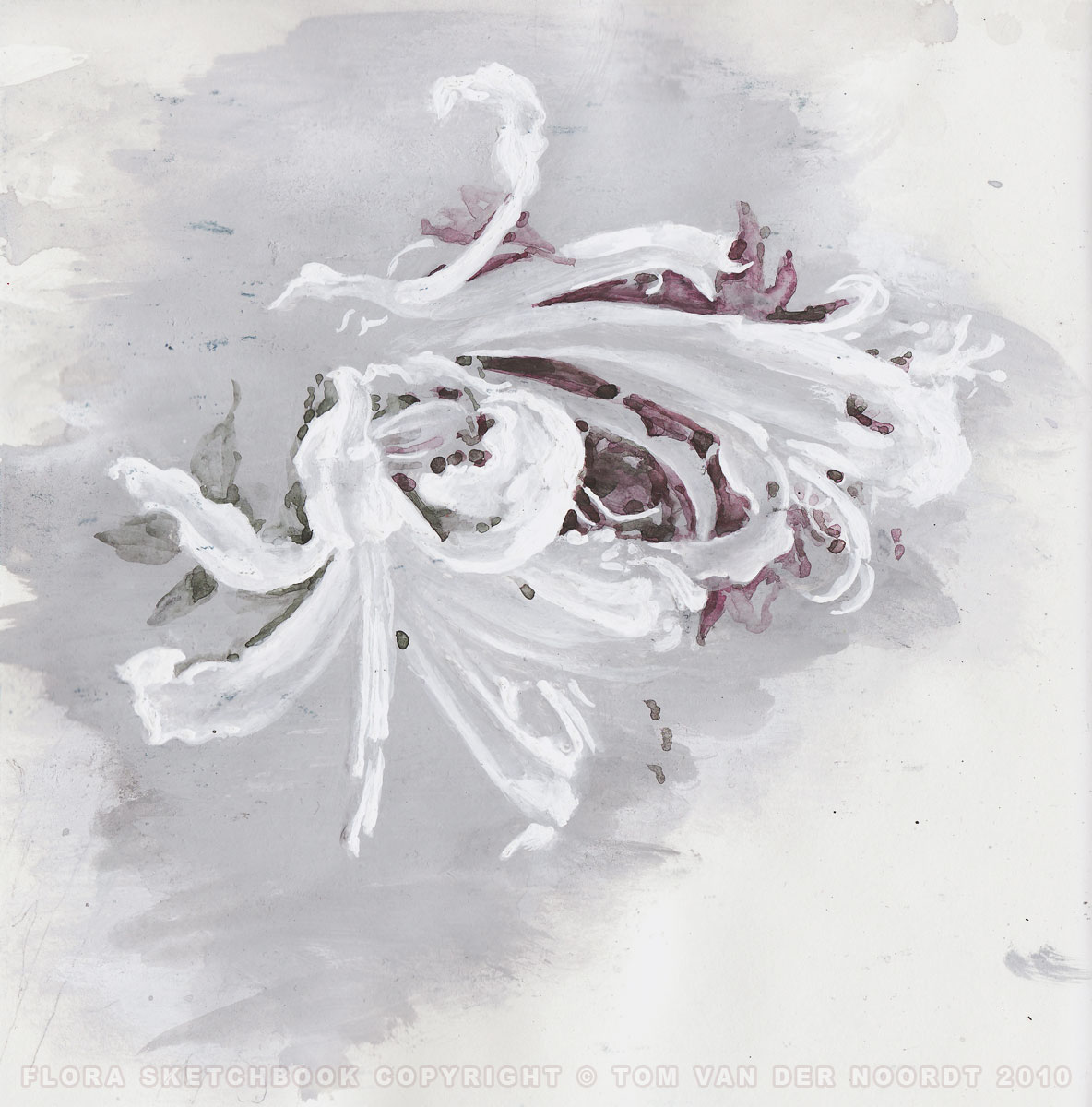 branch-of-lilies-04a-flora-sketchbook-pagedetail