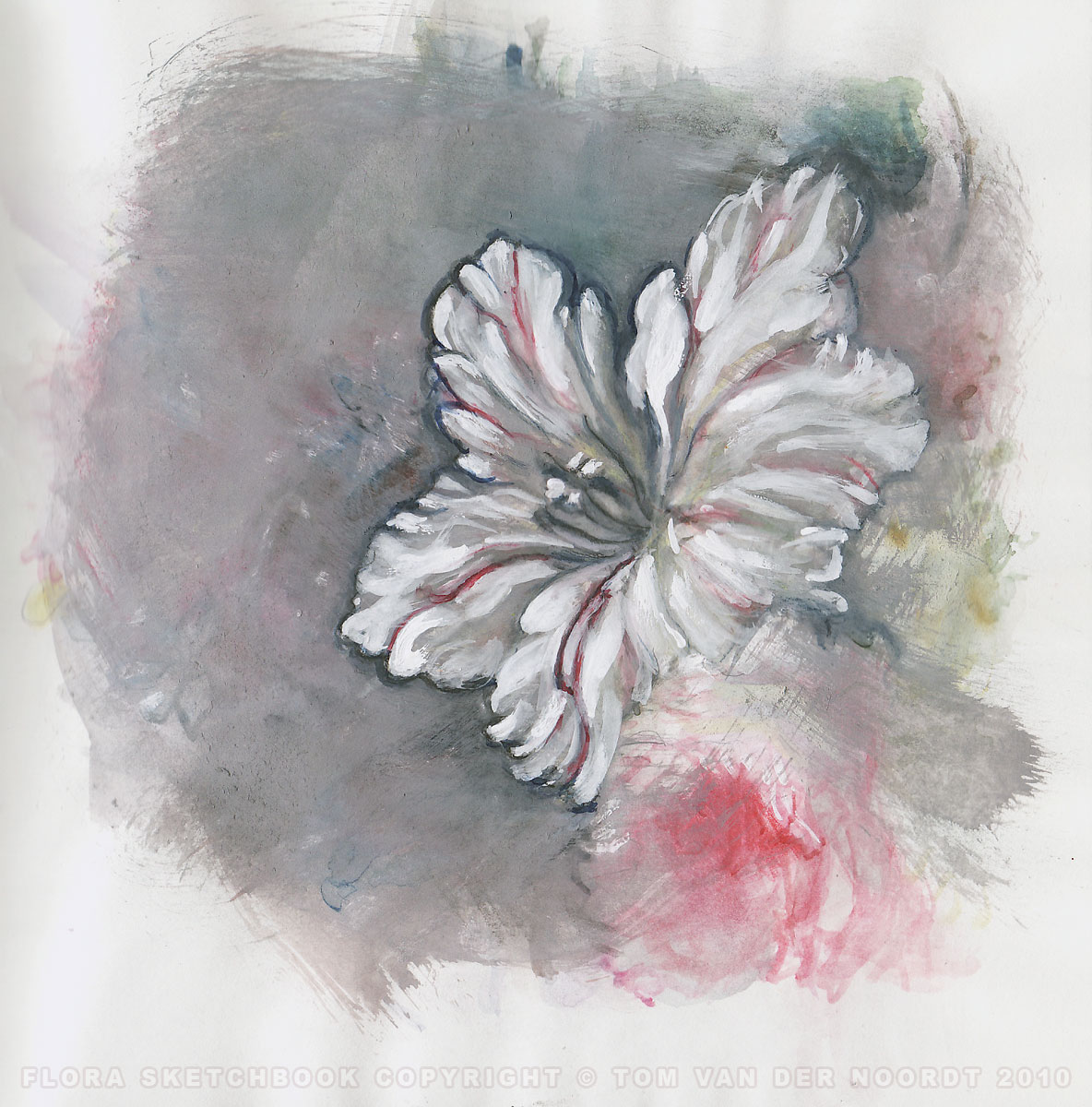 tulip-23b-flora-sketchbook-pagedetail