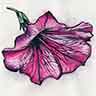 click to open gallery - petunias