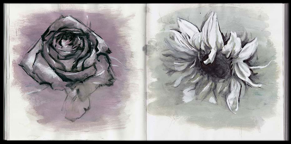 flora skechbook: rose - sunflower