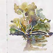 sketch green grove